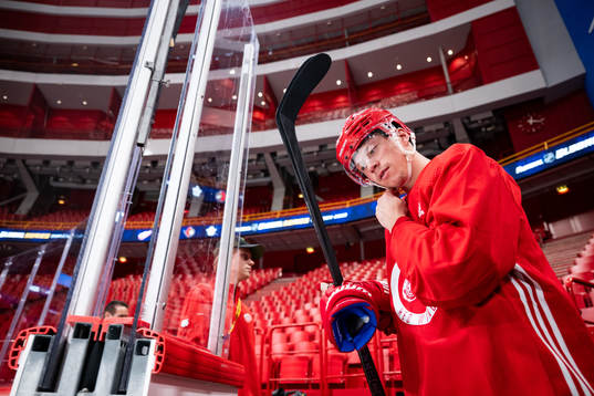 Bläddra bland fler bilder av Ice Hockey, NHL, Global Series Stockholm, Detroit Red Wings, Practice 