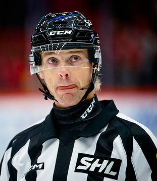 Domare Mikael Andersson
