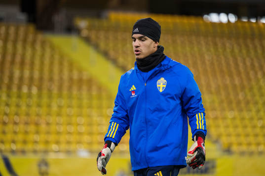 Goalkeeper Oliver Dovin of Sweden