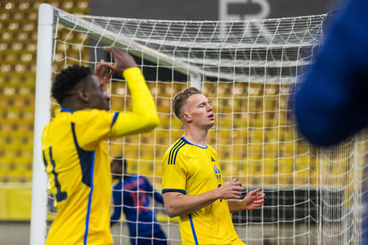 Josafat Mendes and Joel Voelkerling Persson of Sweden looks