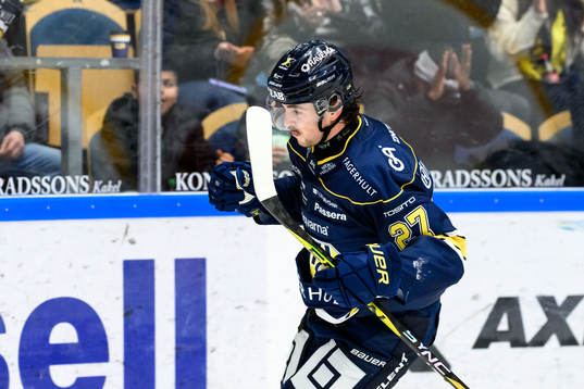 HV71s Robert Nardella jublar