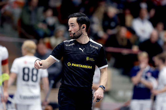 Domare Frans Dahlstedt