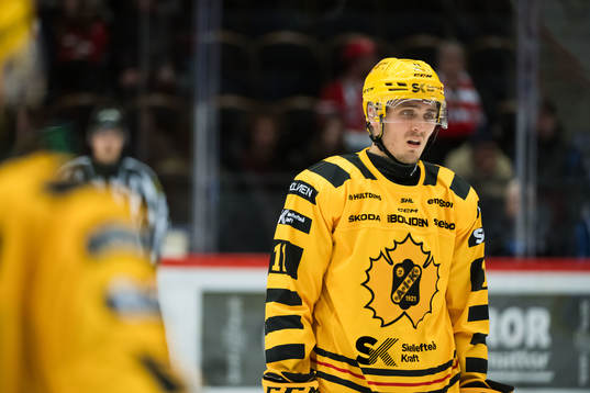 Skellefteås Max Lindholm deppar