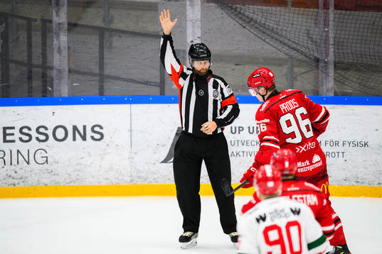 Domare Mikael Johansson