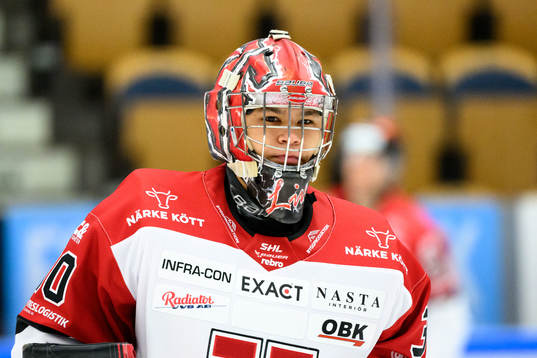 Örebros målvakt Herman Liv
