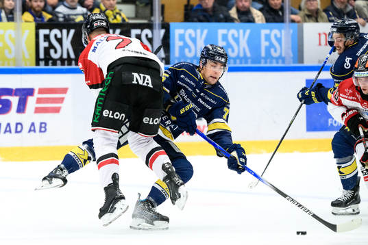 HV71s Radan Lenc