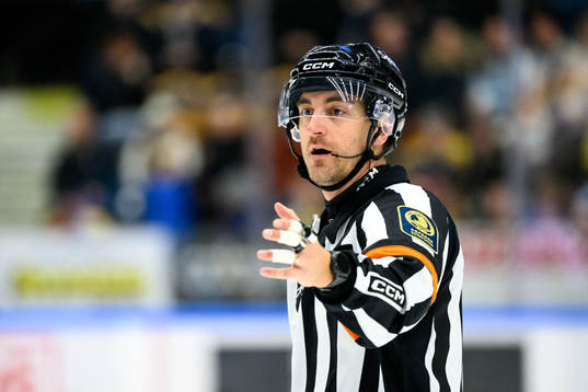 Domare Kristoffer Folkstrand