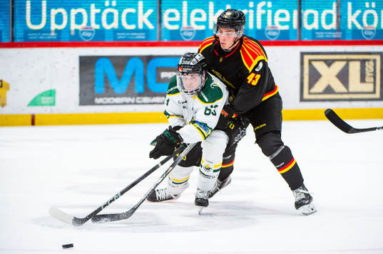 Bläddra bland fler bilder av Ishockey, Hockeyallsvenskan, Brynäs - Östersund