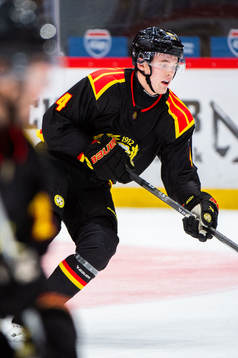 Brynäs Theo Lindstein