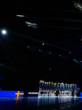 Players of Sweden