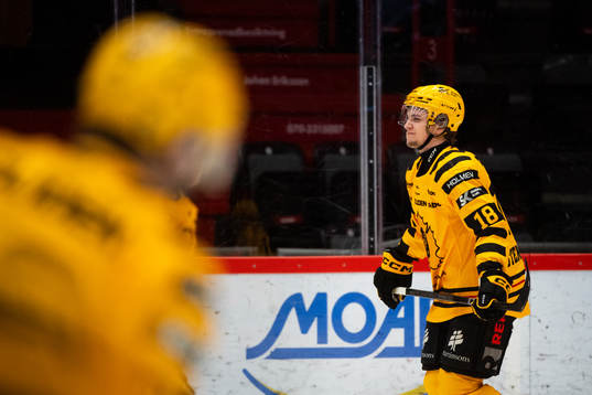 Skellefteås Elias Stenman