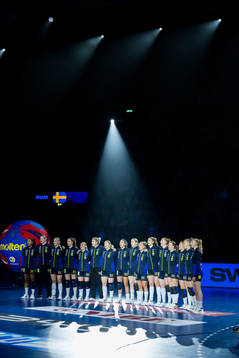 Players of Sweden