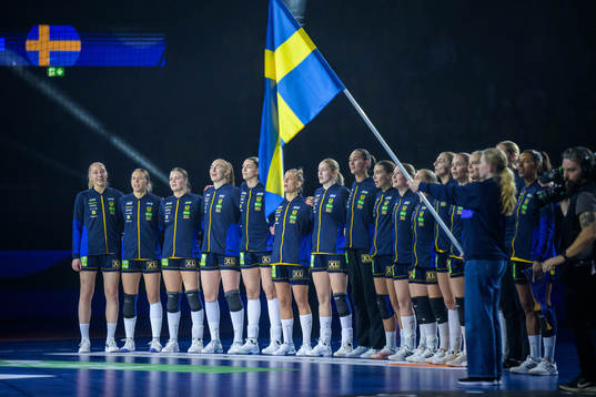 Players of Sweden at line up