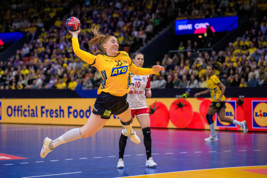 during the IHF Women’s World Championship handball match