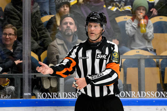 Domare Mikael Nord