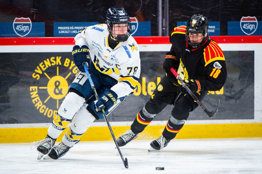 Bläddra bland fler bilder av Ishockey, SDHL, Brynäs - HV71