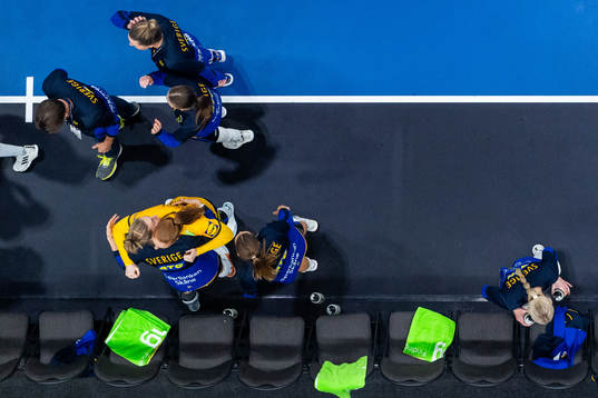 Players of Sweden