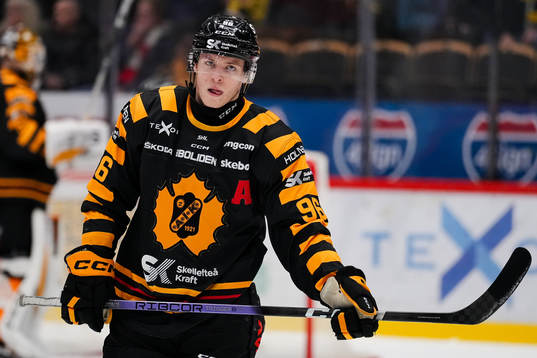 Skellefteås Rickard Hugg