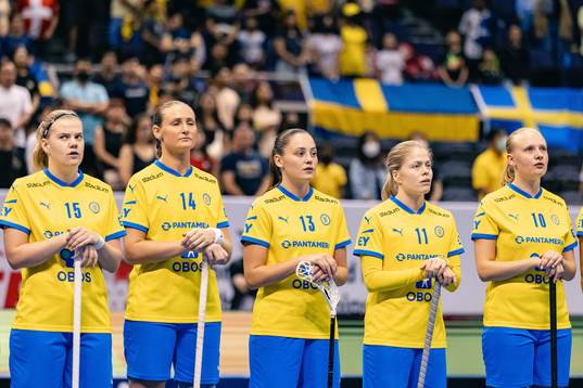 På denna handoutbild från internationella