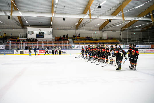 Tysklands spelare