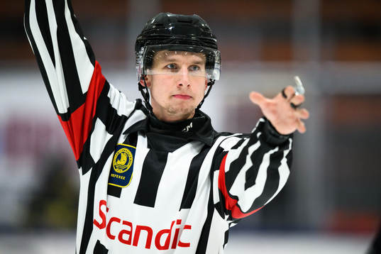 Domare Markus Yngvesson