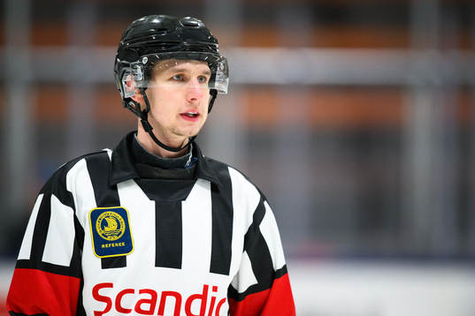 Domare Markus Yngvesson