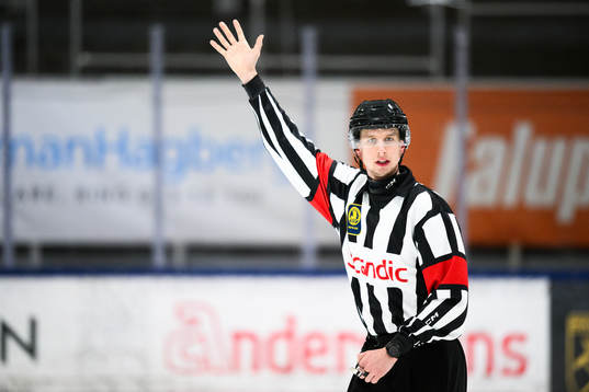 Domare Markus Yngvesson
