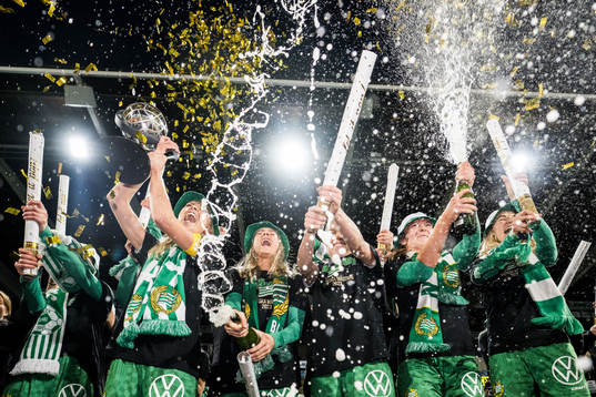 Bläddra bland fler bilder av Hammarby herr