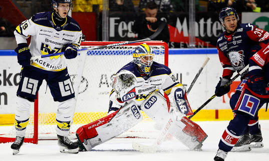 HV71s målvakt Frederik Dichow