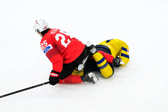 Endo Meier of Switzerland and Zeb Forsfjäll of Sweden