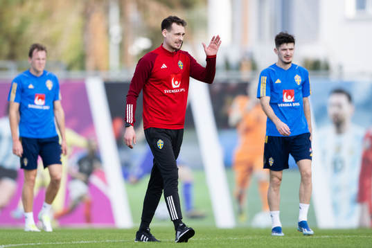 Interim coach Daniel Bäckström of the Swedish men's