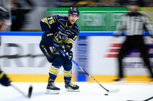 HV71s Radan Lenc