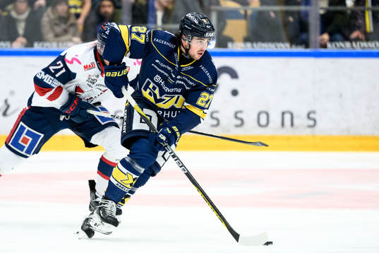HV71s Robert Nardella
