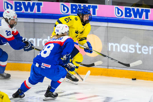 Liana Tomastikova of Slovakia and Lovisa Engström of Sweden