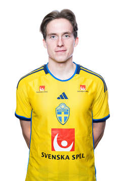 Johan Karlsson of the Swedish men's football national team