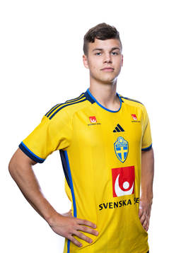 Samuel Dahl of the Swedish men's football national team
