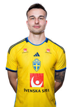 Henrik Castegren of the Swedish men's football national