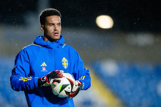 Goalkeeper Oliver Dovin of Sweden