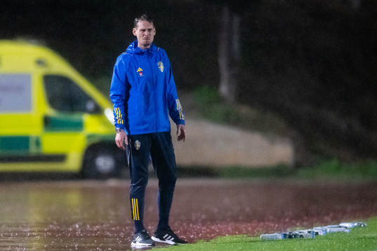 Interim Head coach Daniel Bäckström of Sweden