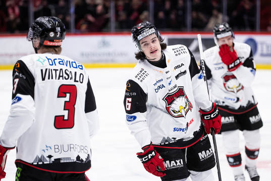 Malmö Redhawks Dominik Badinka deppar