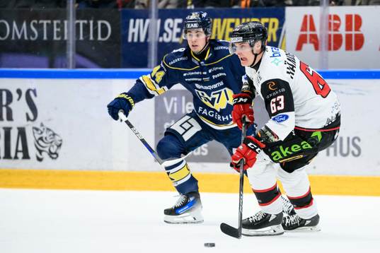 Malmö Redhawks Fredrik Händemark