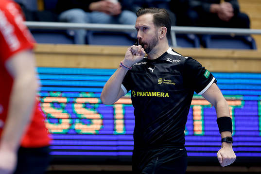Domare Thomas Andersson