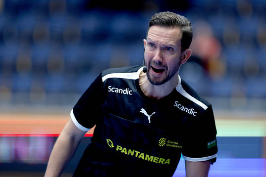 Domare Thomas Andersson
