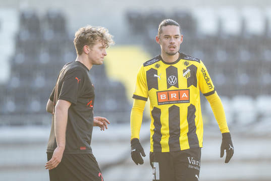 Häckens Amor Layouni