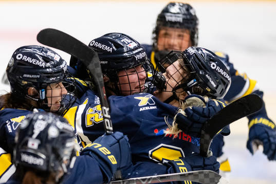 HV71s spelare jublar