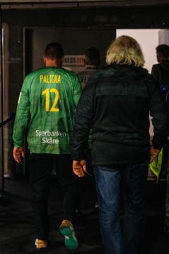 Goalkeeper Andreas Palicka of Sweden leaves the pitch