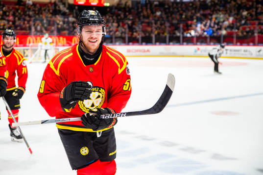 Brynäs Karlis Cukste jublar