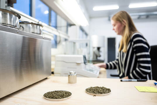 Infillmaterial till konstgärsplaner med Pernilla Larsson,