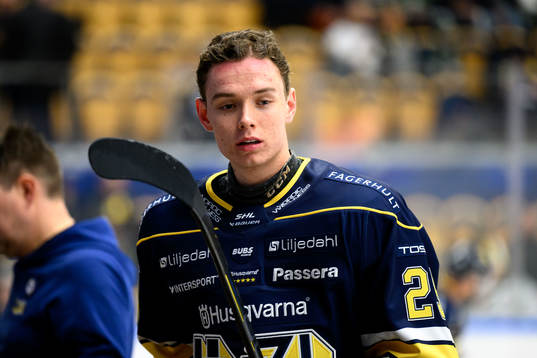 HV71s Wilhelm Hallquisth