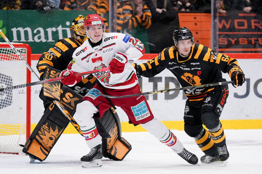 Skellefteås målvakt Gustaf Lindvall, MoDos Erik Walli